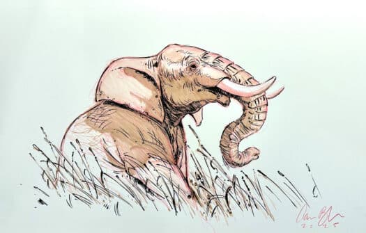 "Elephant, Mixed Media" Original Drawing by Aaron Blaise - Image 2