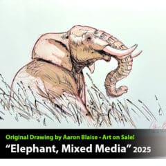 "Elephant, Mixed Media" Original Drawing by Aaron Blaise