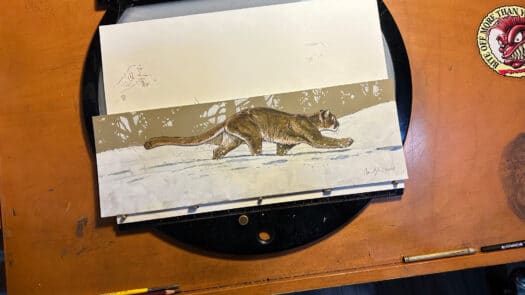 "Mountain Lion in Snow" Mixed Media Drawing - Image 4