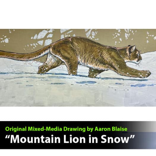 "Mountain Lion in Snow" Mixed Media Drawing