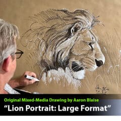 "Lion in Profile" Original Large Format Drawing