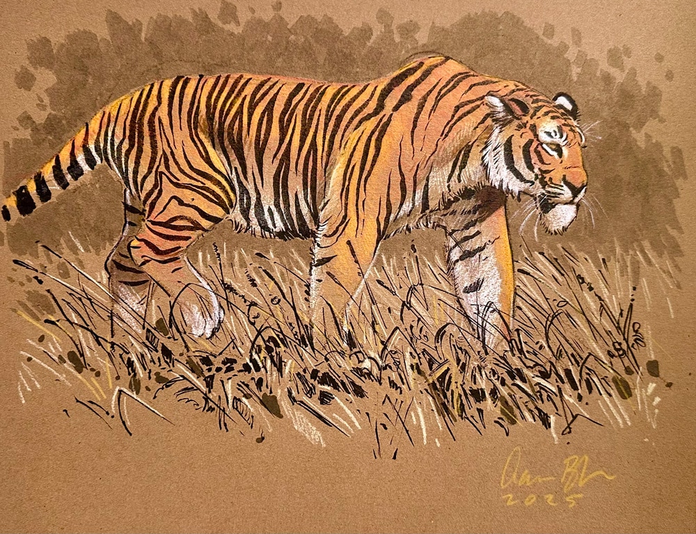 Original-Tiger-Toned-CP-web.jpg