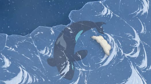 LIVE: Snow Bear Roadshow (Online Event + Screening) - Oct 24th - Image 9