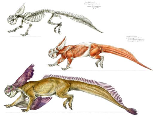 LIVE "Drawing Prehistoric Beasts with Terryl Whitlatch" (2 Day Workshop) - Image 3
