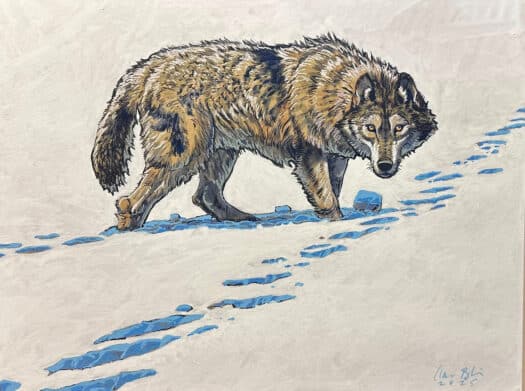 "Wolf in Snow" Mixed Media Drawing - Image 2