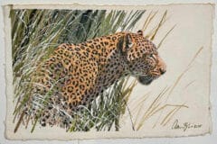 "Leopard Painting 2025" Mixed Media Painting