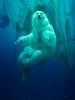 "Beneath the Ice" Signed Print (Support Polar Bears)