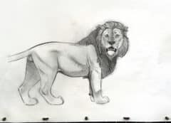"African Lion #1" 2026 Original Drawing