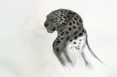 "Proud Leopard" 2026 Original Drawing