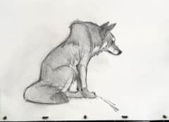 "The Wolf #1" 2026 Original Drawing