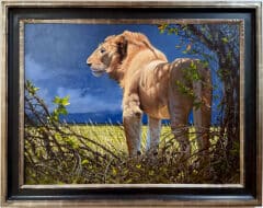 "Young Lion of the Mara" (Original Oil Painting)