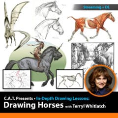 Drawing Horses with Terryl Whitlatch (+ Downloads)