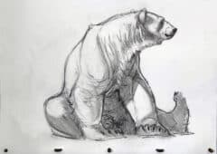 "Polar Bear Study #1" 2026 Original Drawing