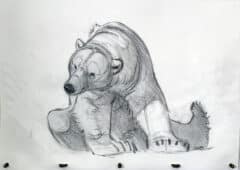 "Polar Bear Study #3" 2026 Original Drawing