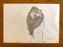 "Lion Squash" 2026 Drawing
