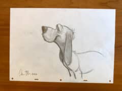 "Profile of Dog" 2026 Original Drawing