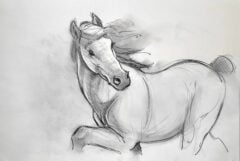 "Horse on the Move" 2026 Drawing