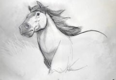 "Portrait of a Horse" 2026 Drawing