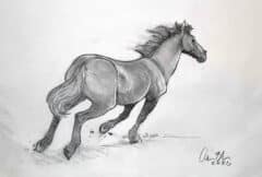"Galloping Horse" 2026 Drawing