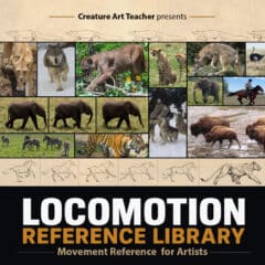 Locomotion Reference Library