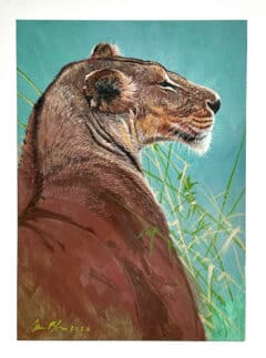 "Lioness Study" Painting (2026)