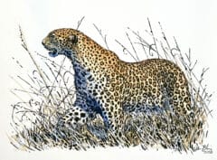 "Leopard of the Mara" Mixed Media Painting (2026)